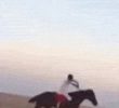 As a result of riding a horse in an anaerobic sandfield, gif