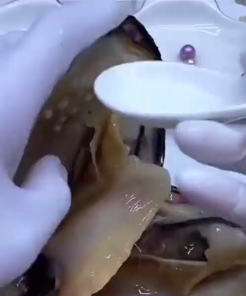 (SOUND)Pulling out pearls that look cool for some reason gif