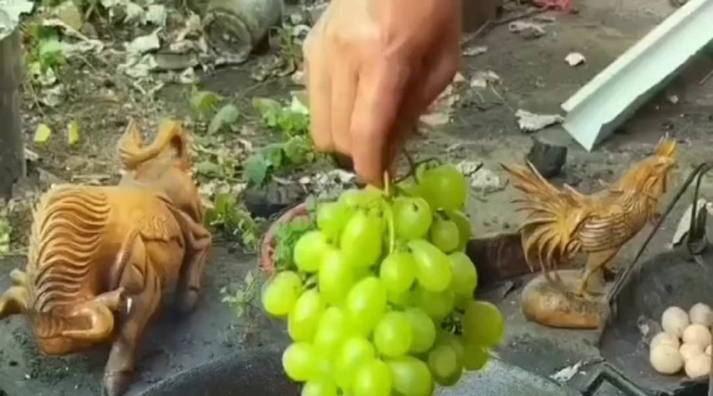 (SOUND)Unexpected result of frying a bunch of grapes in oil gif