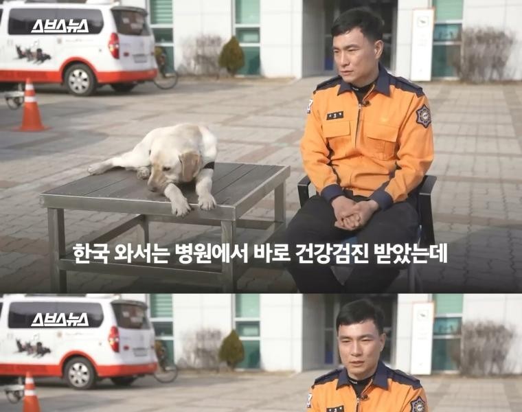 Turkiye Rescue dog Tobaek, who went to search for it, what's up?