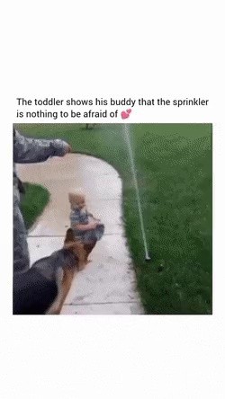 Communication between a puppy and a baby gif