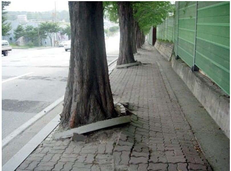 A sidewalk that builds up fatigue just by walking.