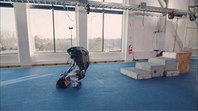What's going on with the bipedal robot?