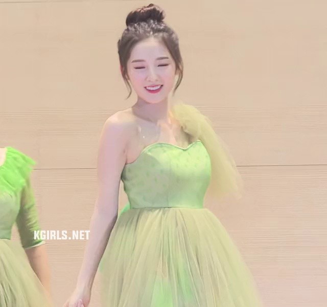 Oh My Girl Arin dress that's like Tinkerbell.