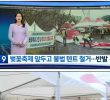 Updates on illegal street stalls tents at the Ulsan Cherry Blossom Festival