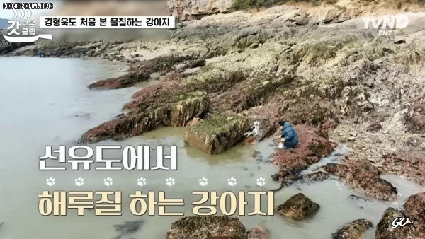 Kang Hyungwook was surprised, too. Automatic hunting of sea cucumbers