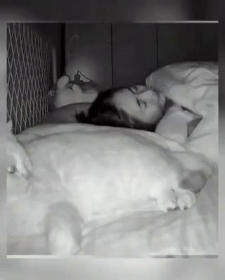 Sleeping with a cat on the side