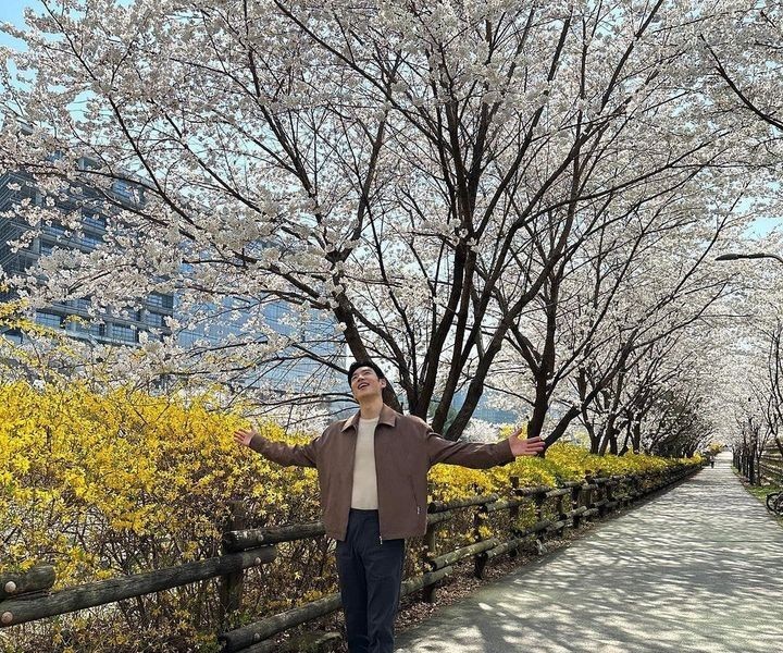 Lee Jehoon Found While Taking Cherry Blossom Photos in Pangyo