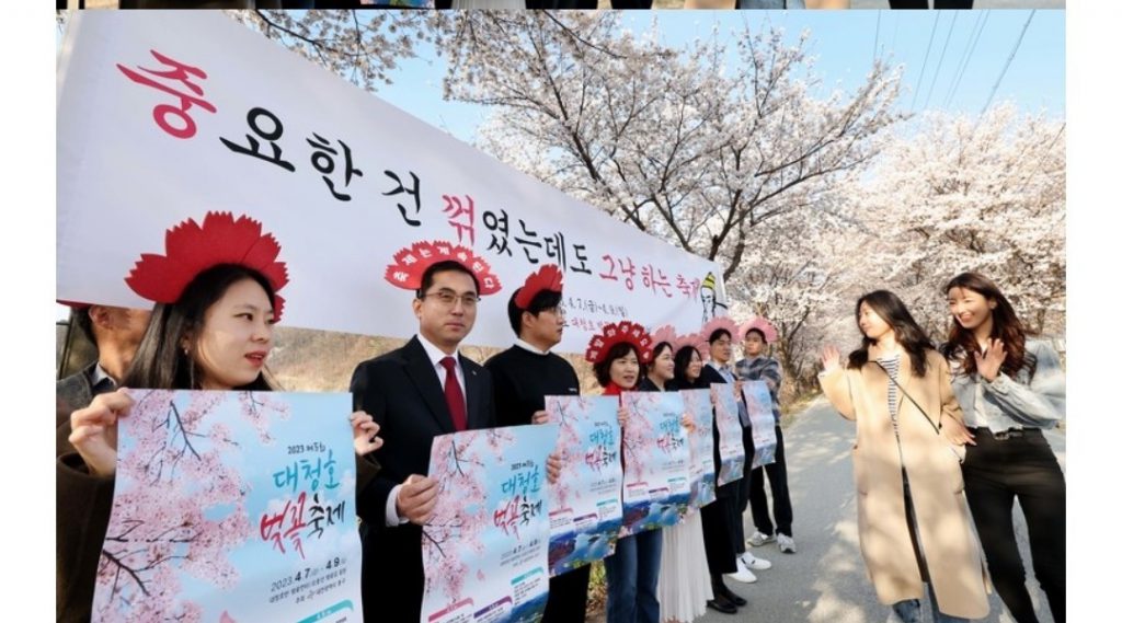 The cherry blossom festival, where the flowers were picked faster than expected, is up to date.jpg