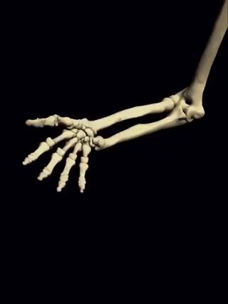 the principle of turning the arm's bones