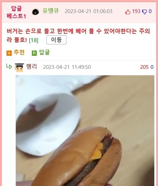 A burger that many people like and dislike.jpg