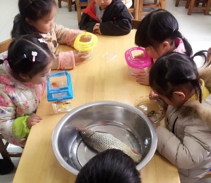 Dad who read the notice to bring fish from kindergarten