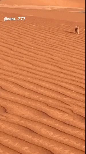 a traffic jam approaching from the desert