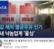 Korean milk industry's trumped by Polish milk.jpg