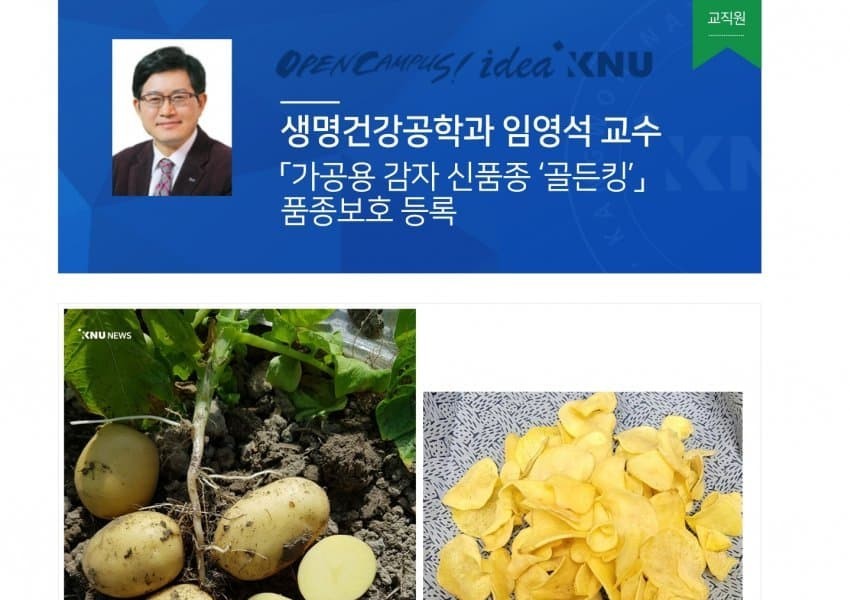 Kangwon National University Professor Develops Counterfeit Money