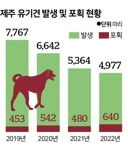 There's still no answer to the Jeju wild dog problem