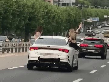 Sitting on the window of a running car