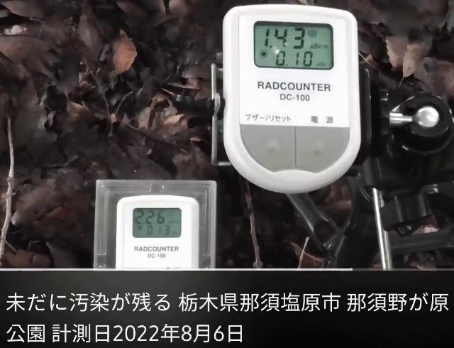 Radiation dose measured by Japanese YouTuber 가ggif