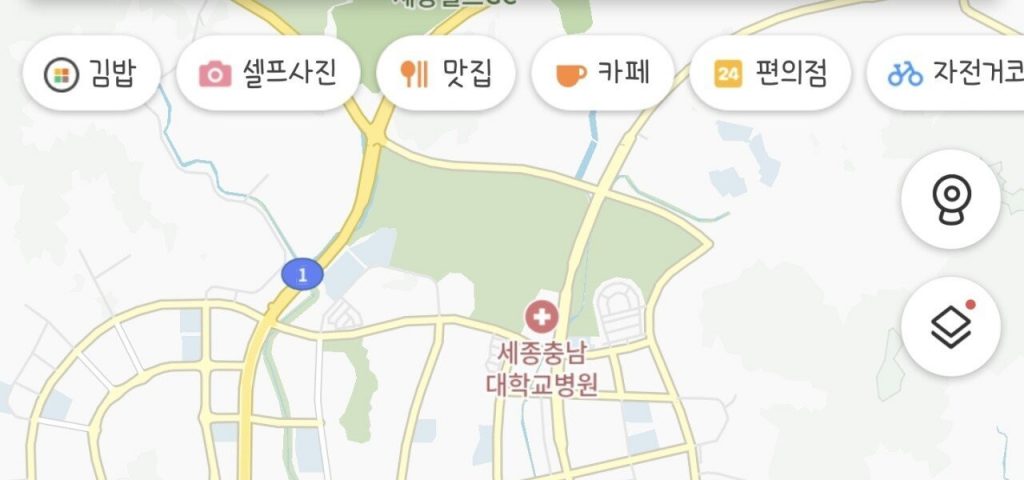 The Problems of Public Transportation in Sejong City and the 2nd New Town in Dishin