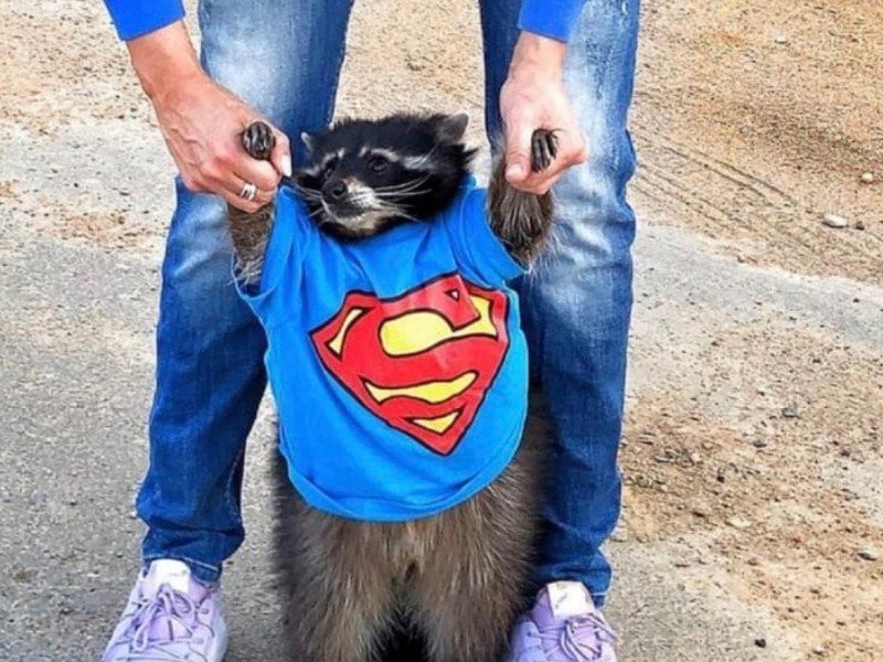 Super hero arrested for not wearing pants and pants