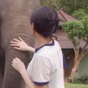 Ye-In is wrapped around an elephant