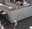 (SOUND)Why You Should Watch Out For Big Dogs At Anaerobic Dog Cafes