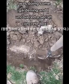 A house with a Nazi hidden treasure box from the yard, gif