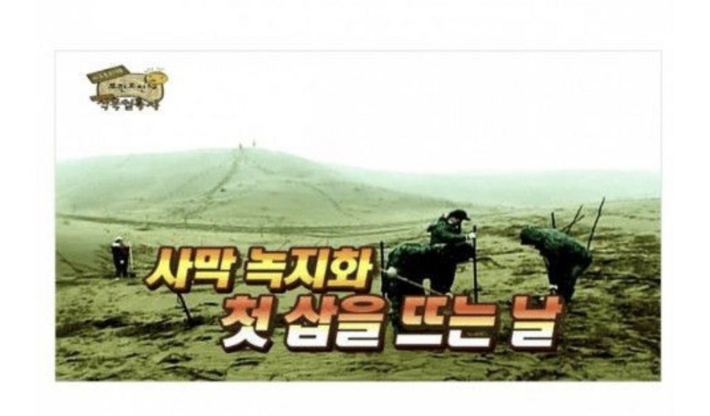 What happened to the trees that Infinite Challenge planted in Mongolia 15 years ago