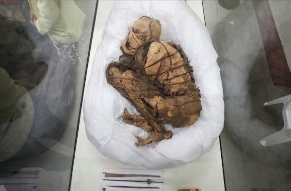 Excavation of mummy buried alive in Aztec, Anoferu.jpg