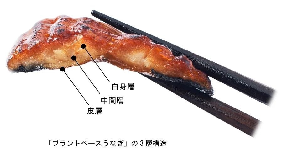 Japan's update on eel. JPG