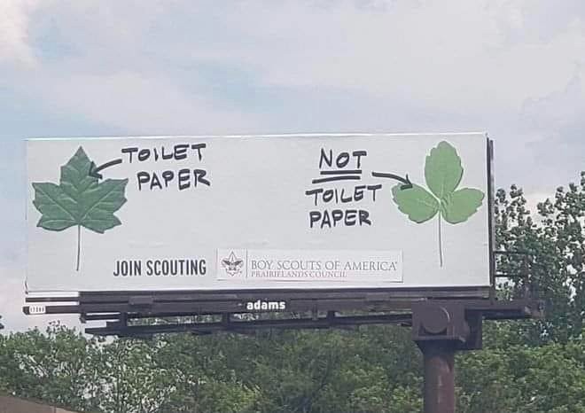 Billboards telling you to be careful of poison ivy