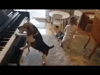 Let's dance to the piano