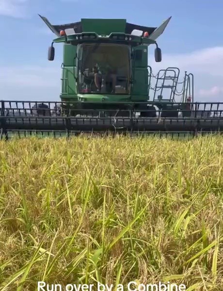 (SOUND)Now farmers are making stimulating videos -_-;;; sound