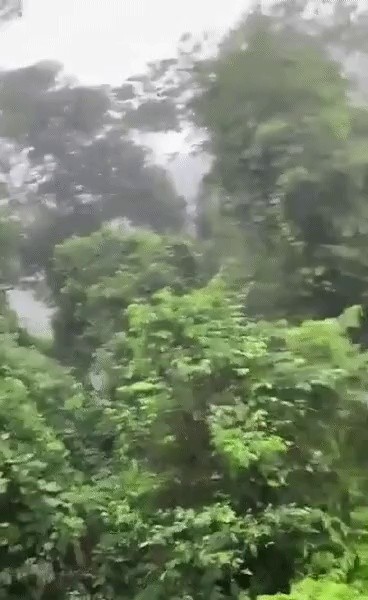 The reason why you shouldn't ride the zip line in the jungle