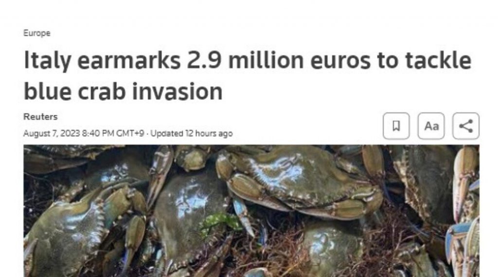 Italy's Recent Situation With Crabs