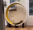 How can a cat ride a cat wheel like this