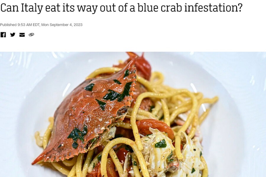 Latest on the Blue Crab Crisis in Italy