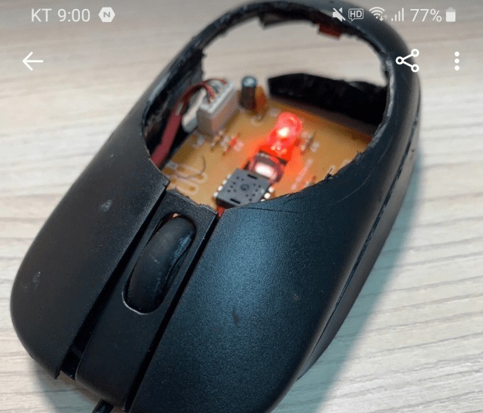 Ultra-light mouse on carrot market.jpg