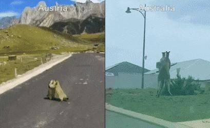 Austria and Australia