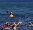 (SOUND)Western bikini wife and children surfing skills