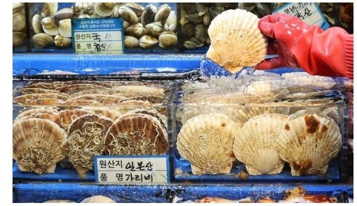 Scallops piled up to 8m ceiling…Hitting Japan in just a month