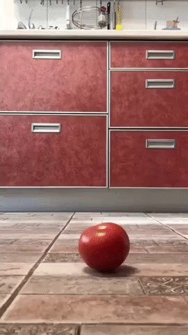 Don't step on the onion gif