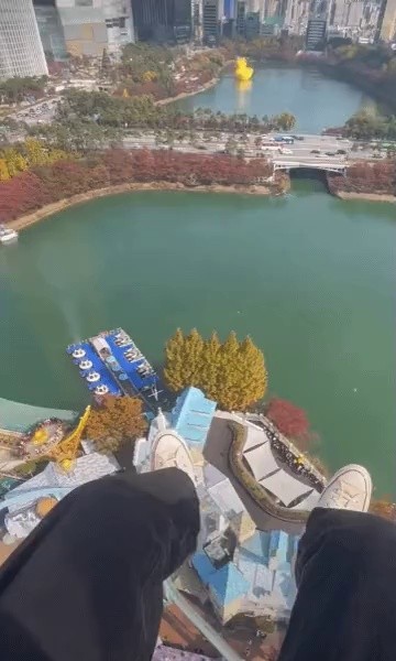 From the perspective of the passengers of Lotte World Gyro Drop
