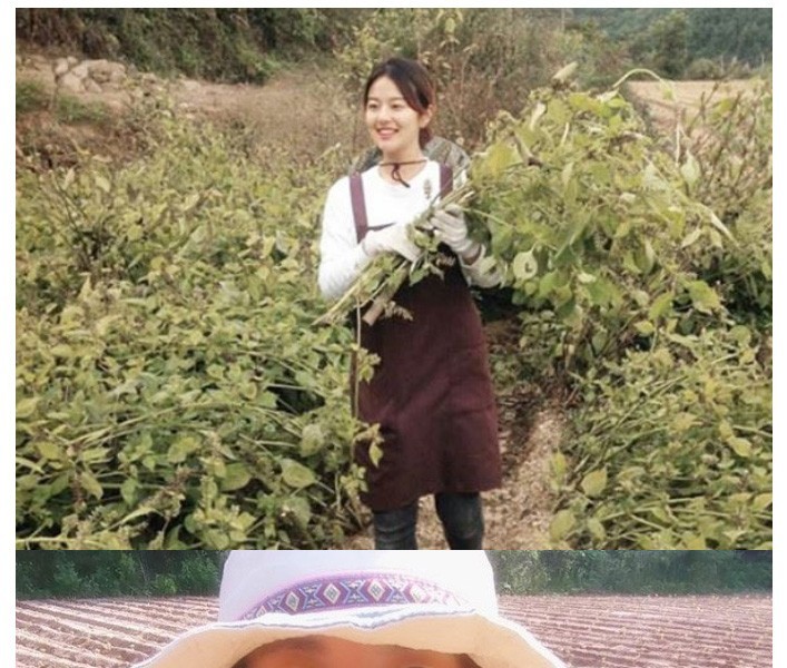 An update on beautiful farmers in Gangwon-do