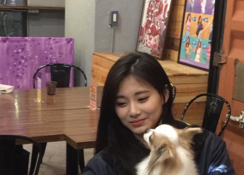 GIF of seeing TZUYU and dogs