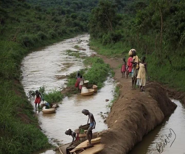 common African landscape