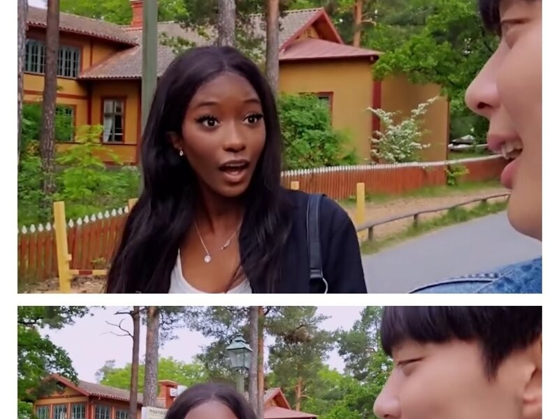A Korean travel YouTuber met a black beauty while filming
