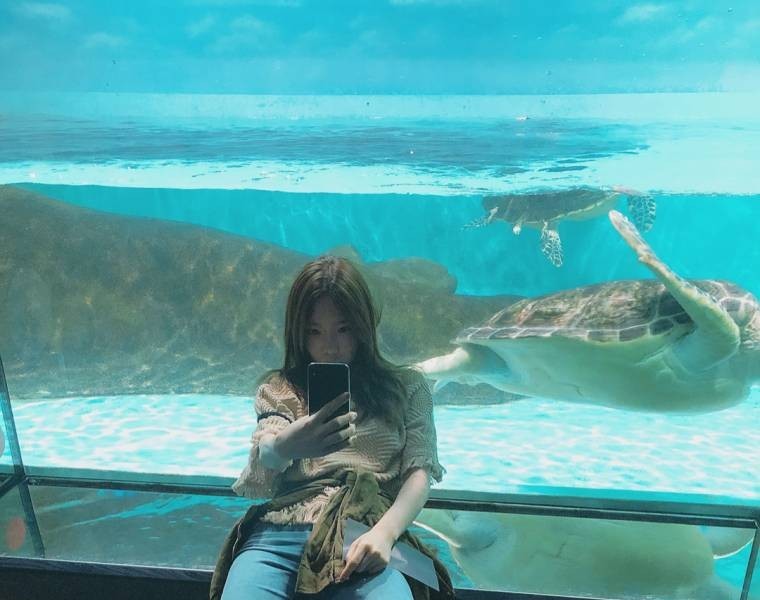 Taeyeon went to the aquarium