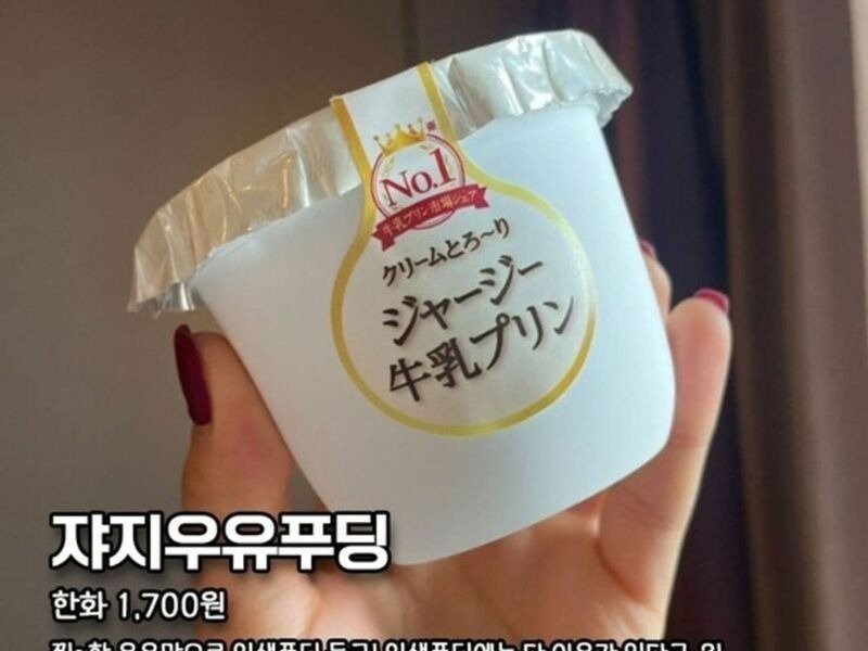 What's up with Japanese pudding