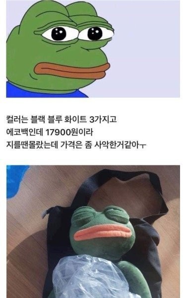 Frog Pepe Eco Bag Review